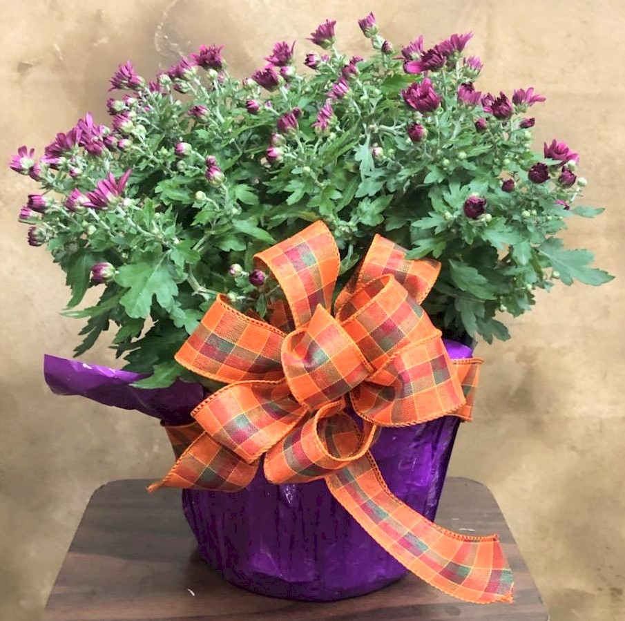 Flowers from Dakota County Pharmacy