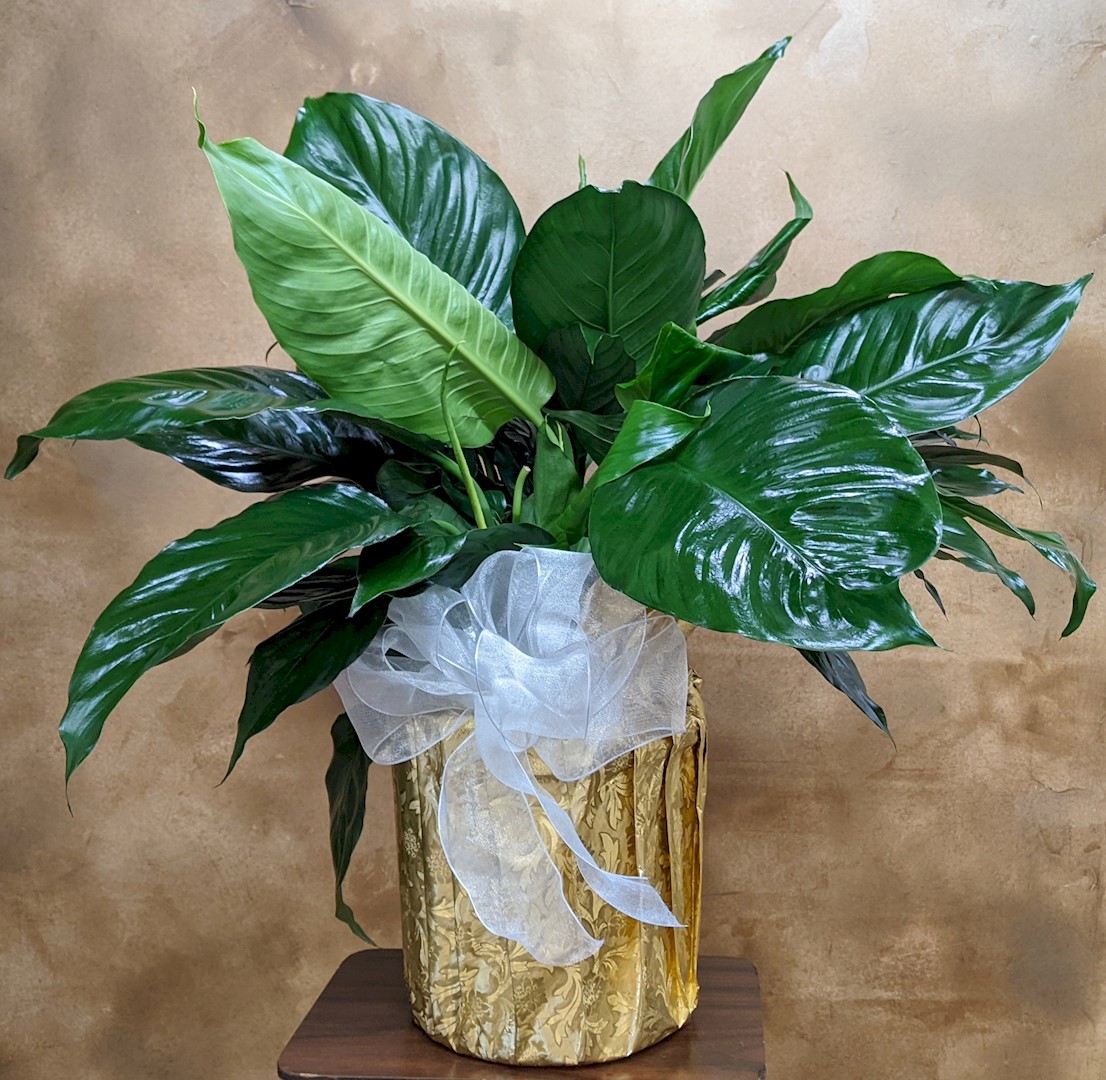 Flowers from Cradles to Crayons Daycare