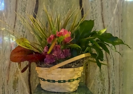 Flowers from Connie Nelson and Family