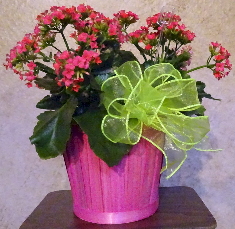 Flowers from Edith Paulson and Anita Peterson