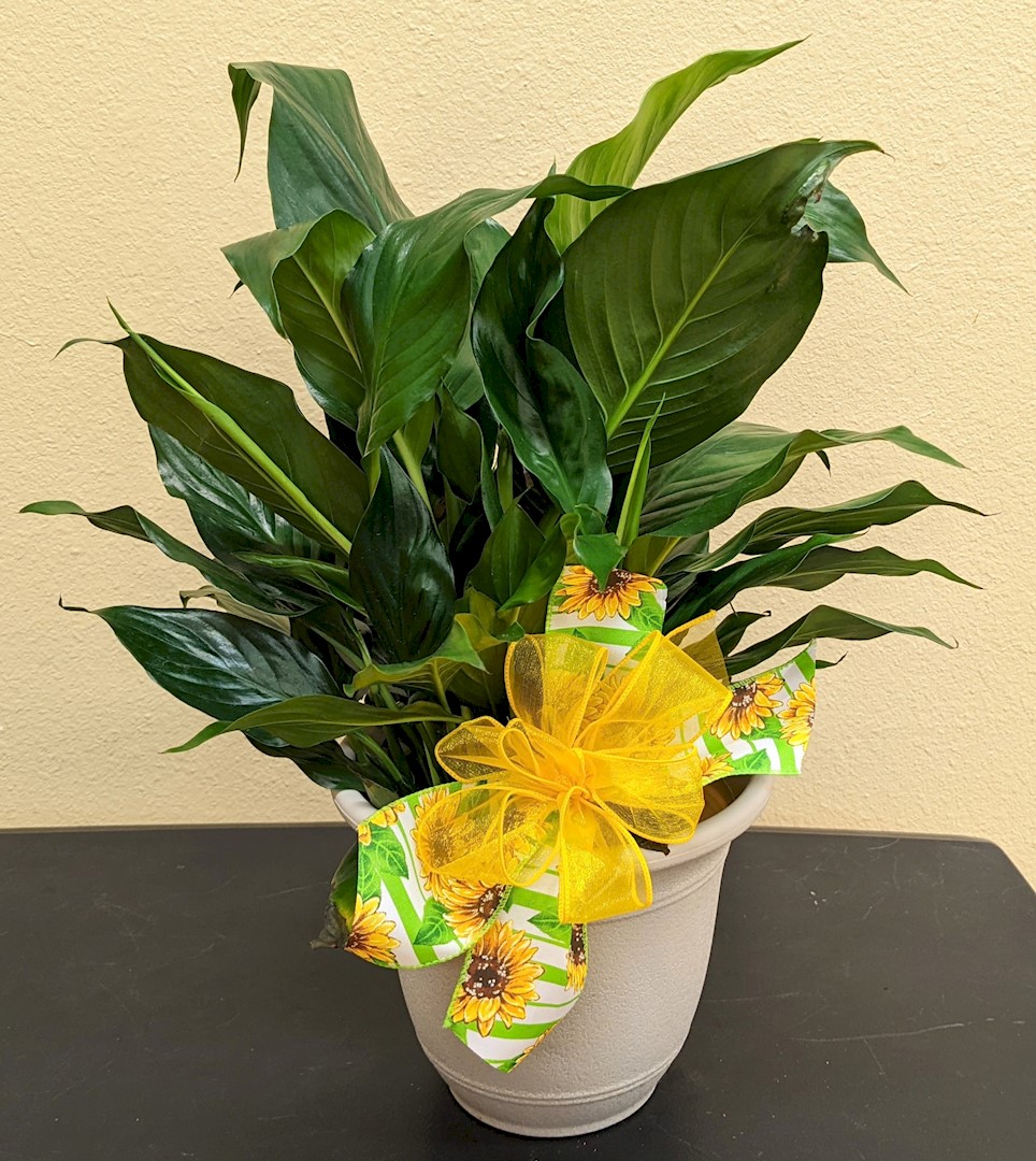 Flowers from Glenn and Rita