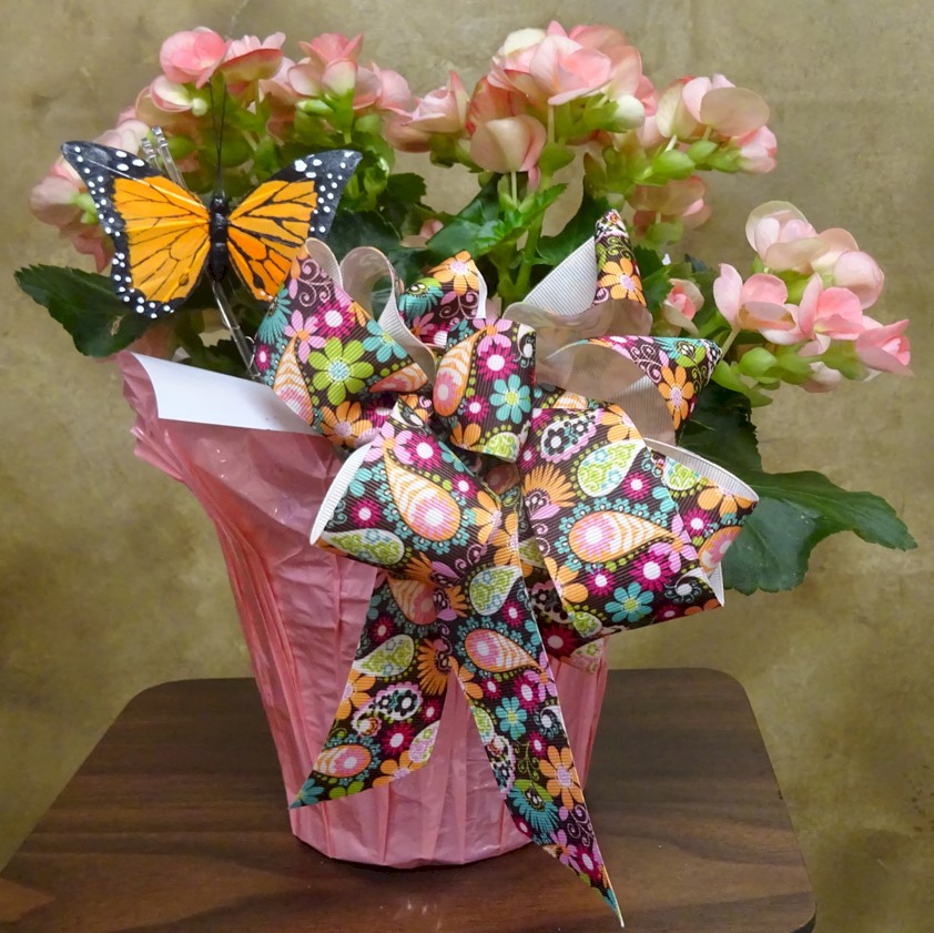Flowers from Dakota Country Pharmacy