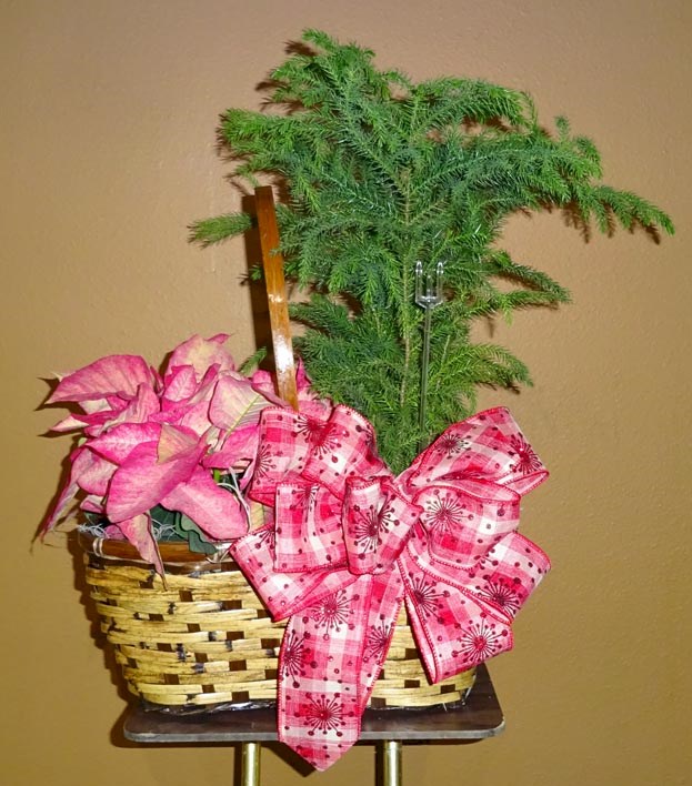Flowers from Wall Chamber of Commerce