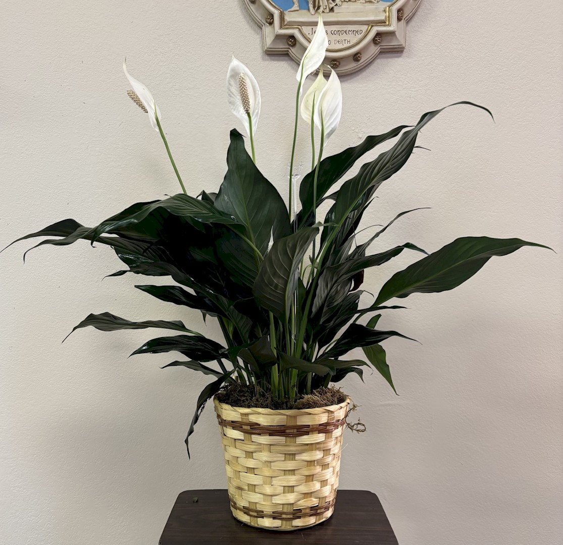 Flowers from Kadoka Area School Staff, Administration, and School Board