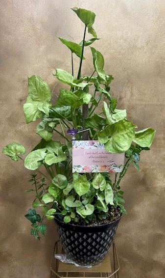 Flowers from The Moses Family 
