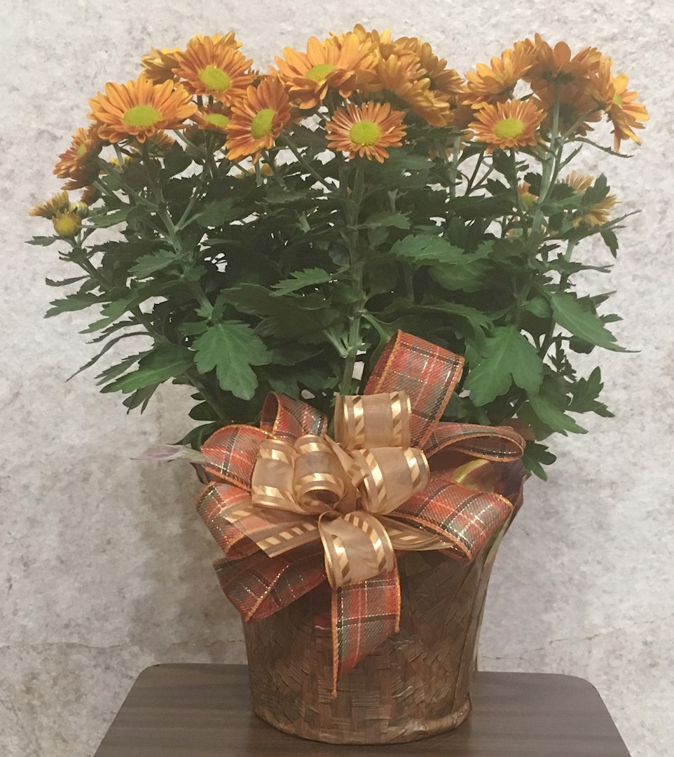 Flowers from Dakota Mill and Grain