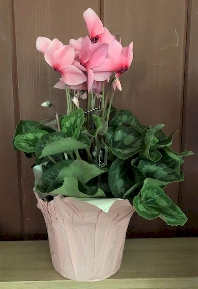 Flowers from Max and Nancy Hauk