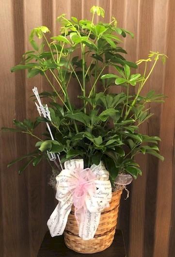 Flowers from Linda Kroetch; Philip and Mary Kay Wilson; Kenny and Janet Wilson; and Kevin and Joan Hoveland