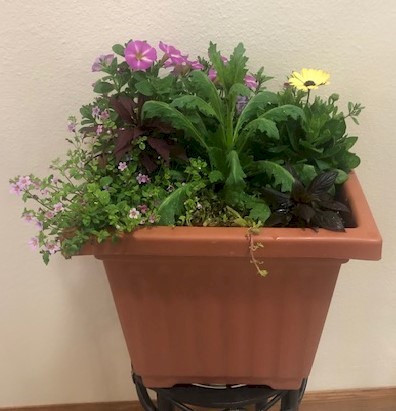Flowers from Lacreek Employees and Directors