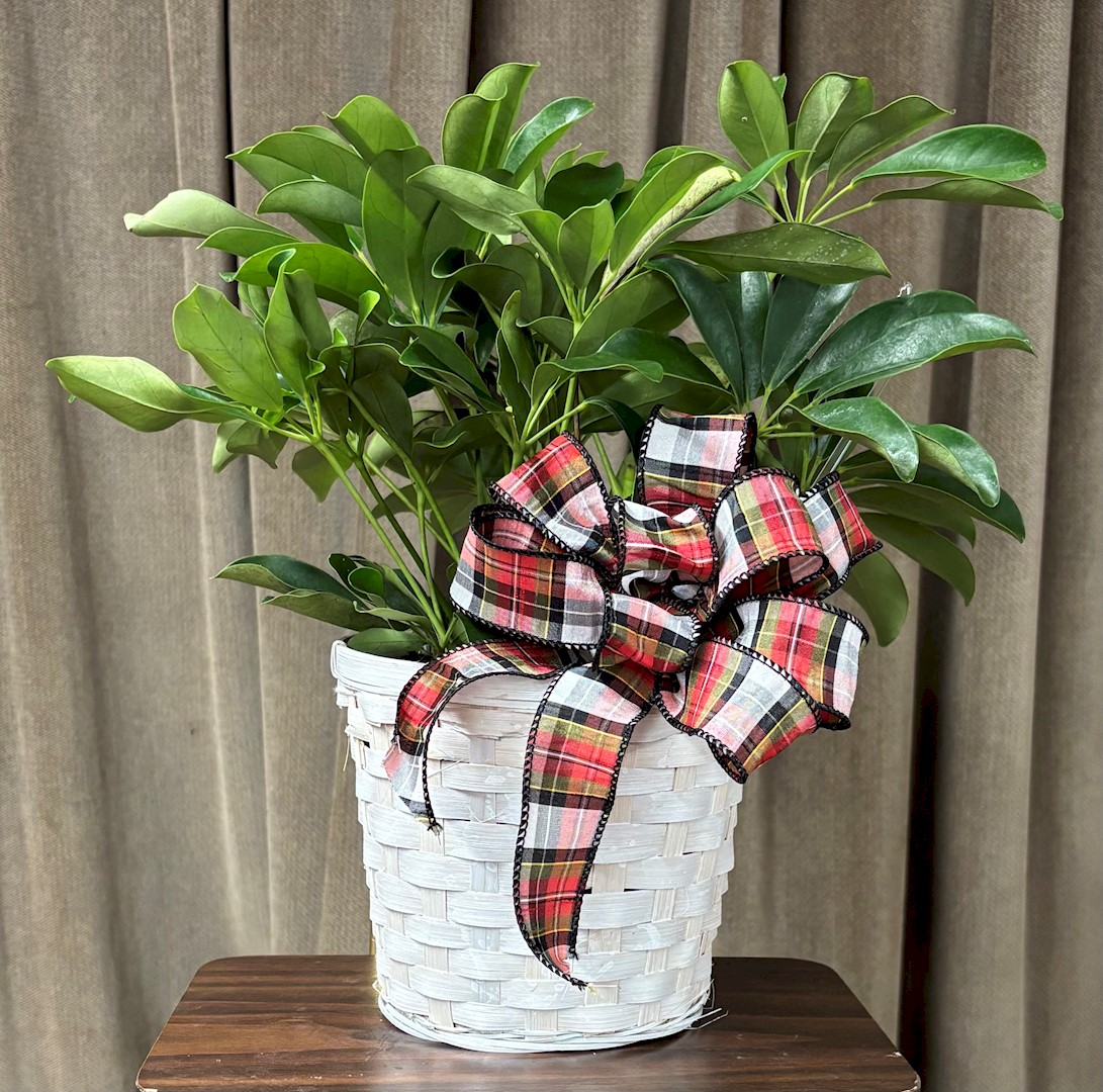 Flowers from Your Edward Jones Family - Marie and Tina