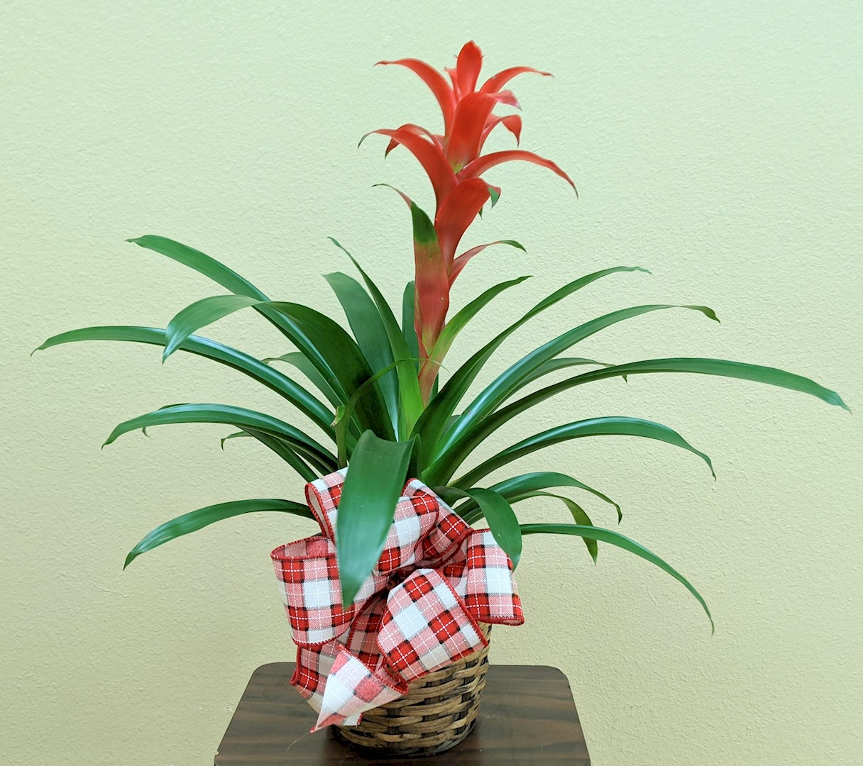 Flowers from 1st National Bank - Shaun, Sophie, Caroline, and Sherrie