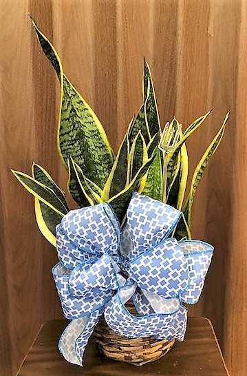 Flowers from Tim, Mary, and Family