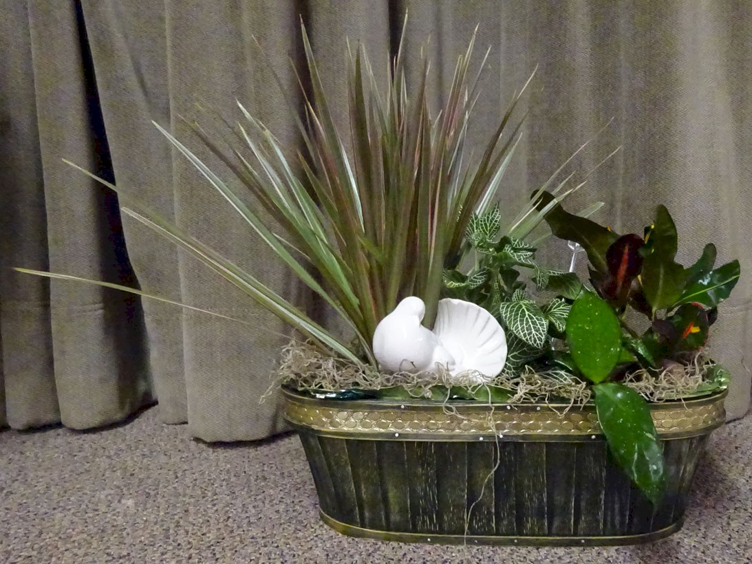 Flowers from Town Board of Bison - Cody, Jeff, Greg, Lyle, and Beth