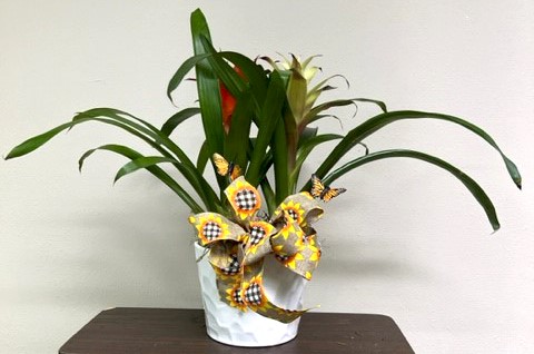 Flowers from Duane Hauk Family - Duane, J'nai, and Jordan