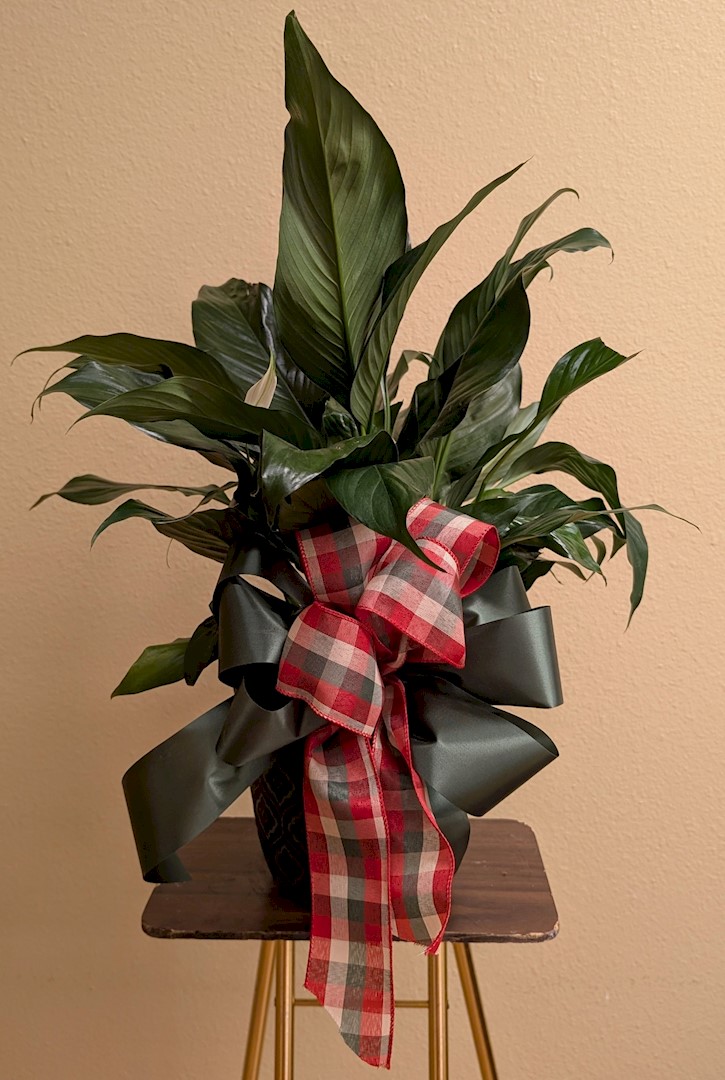 Flowers from The JCHS Class of 2004