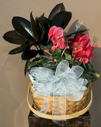 Flowers from Kadoka Oil and Discount Fuel - Mark and Tammy Carlson and Family