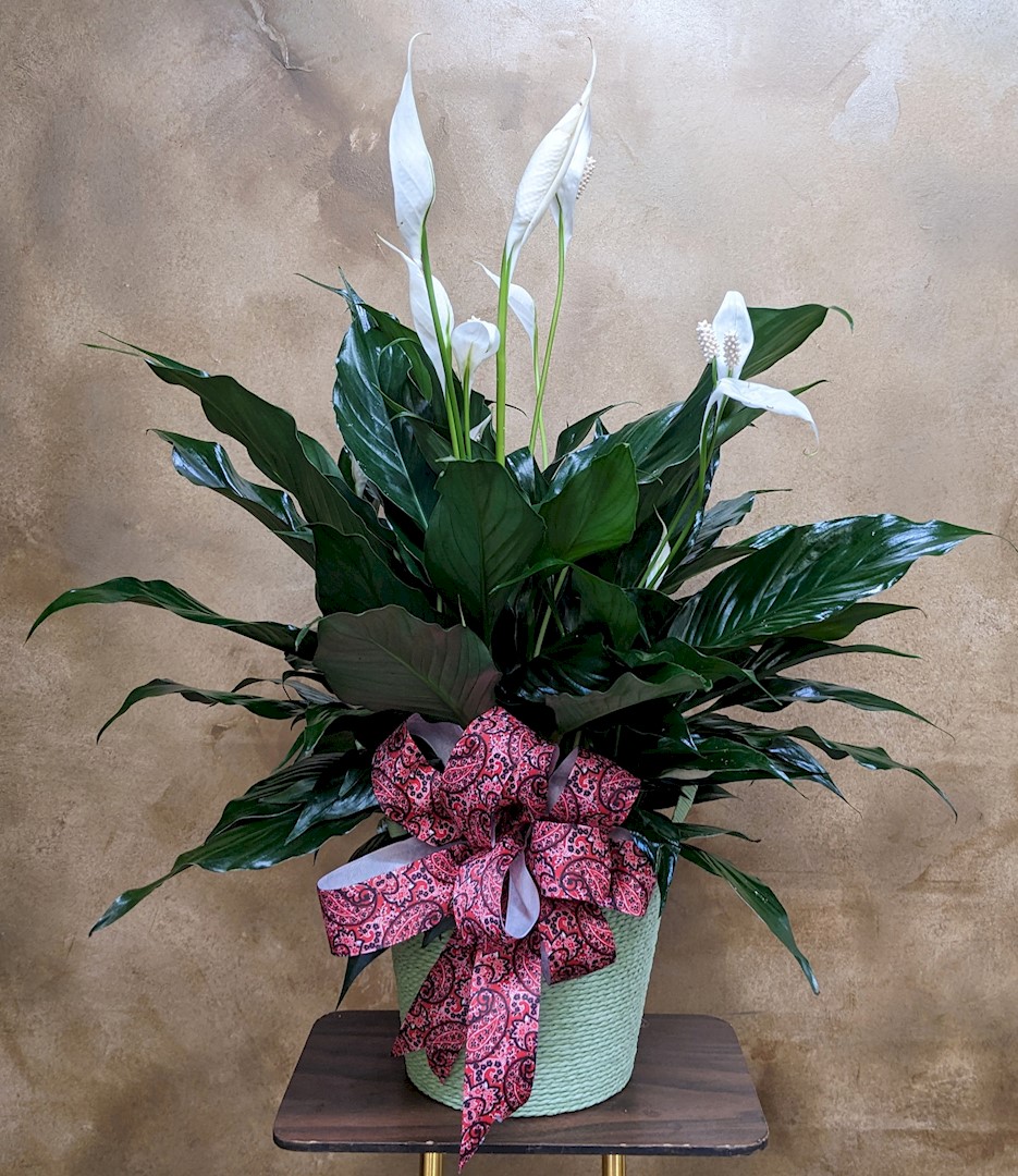 Flowers from Stulken, Peterson LLP