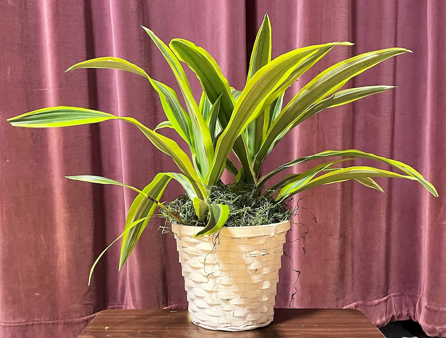 Flowers from Cathie Handcock Family