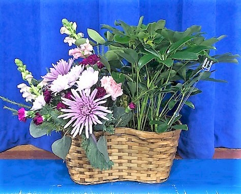Flowers from White's Queen City Motors