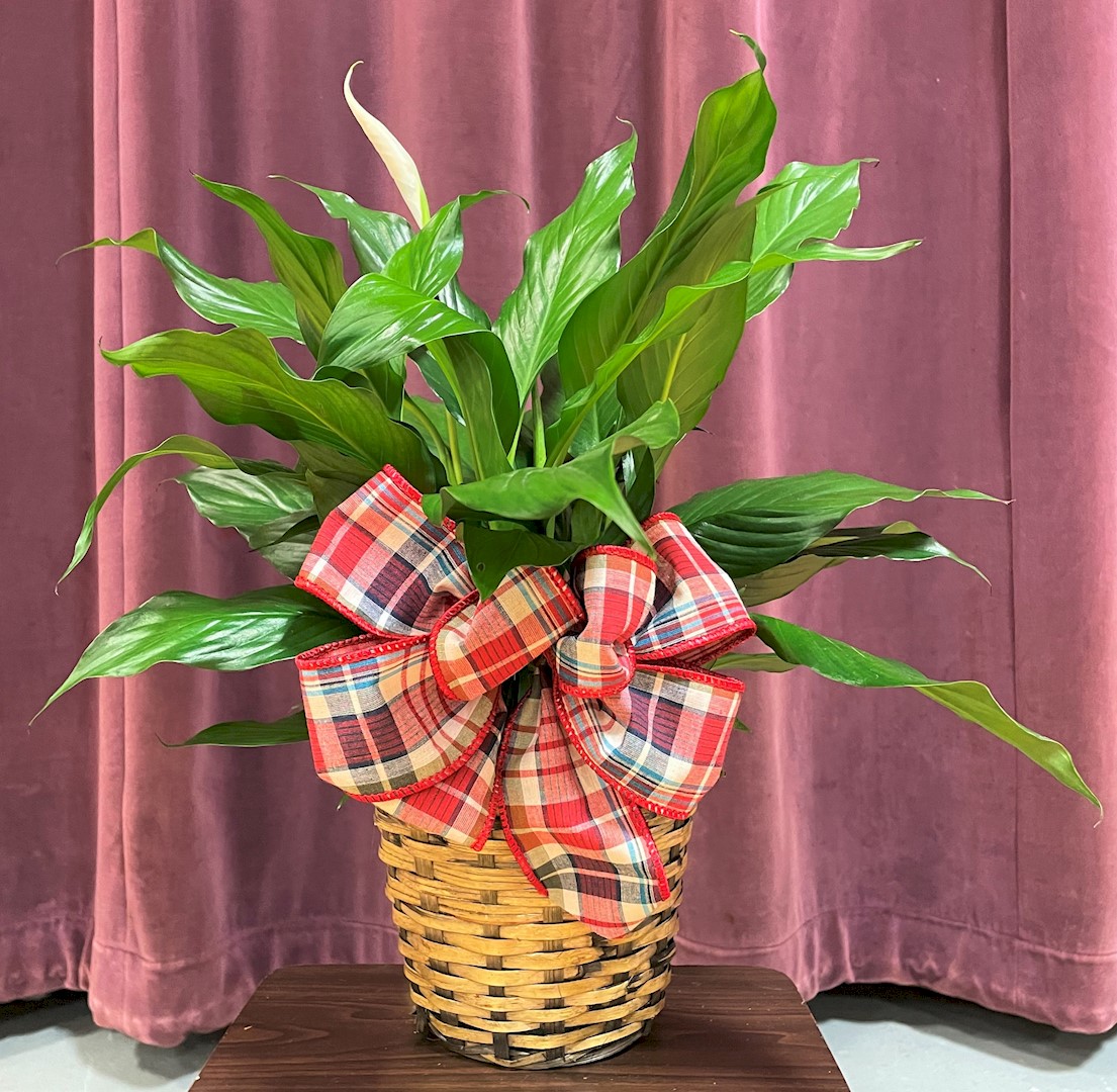 Flowers from Jordan Wanczyk and Stephanie Angele
