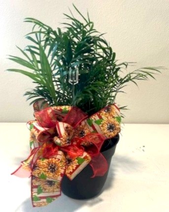Flowers from City of Wall