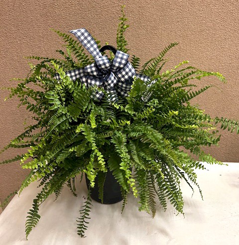 Flowers from Pat and Jackie Heathershaw