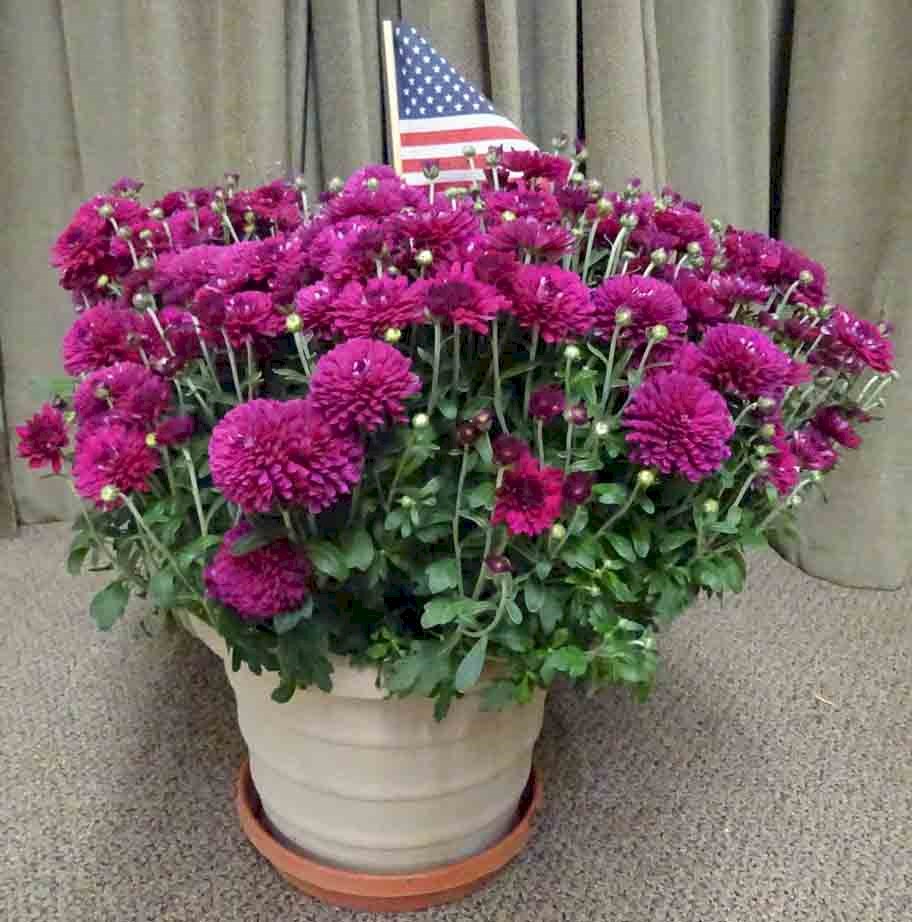 Flowers from Shirley and Family
