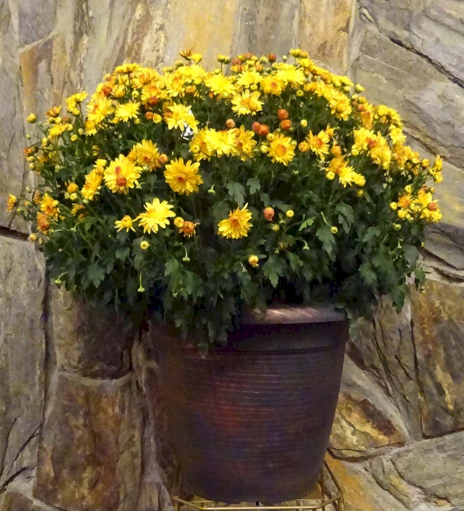 Flowers from Betty & Jim Smith
Heidi & Nick and Girls
Marcy & Wade and Family
Ashley & Brock and Family
Dustin and Family