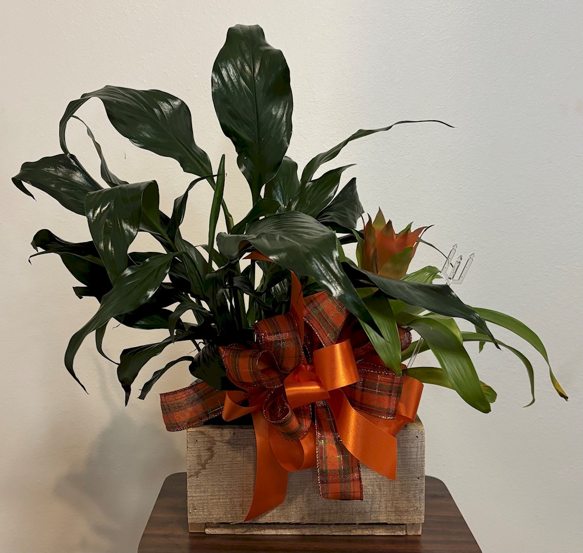 Flowers from Dakota Country Pharmacy