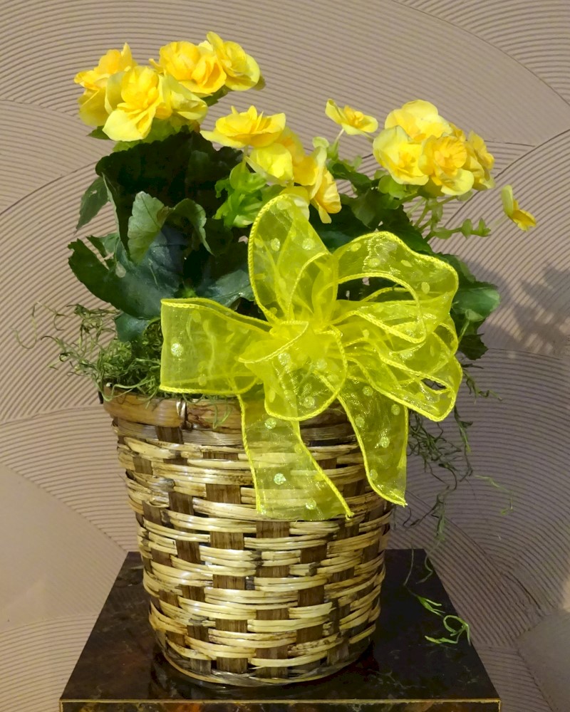 Flowers from Mark and Tammy Carlson and Family, Discount Fuel, Kadoka Oil and Employees