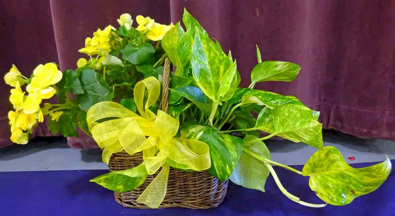 Flowers from Jim and Debbie Antonsen and Families