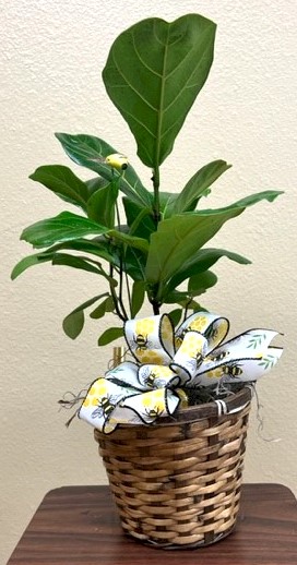 Flowers from Guys at Dakota Mill