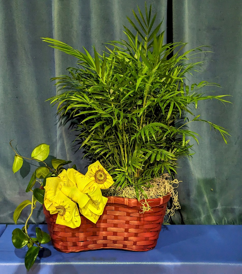 Flowers from ASBSD Board of Directors and Staff