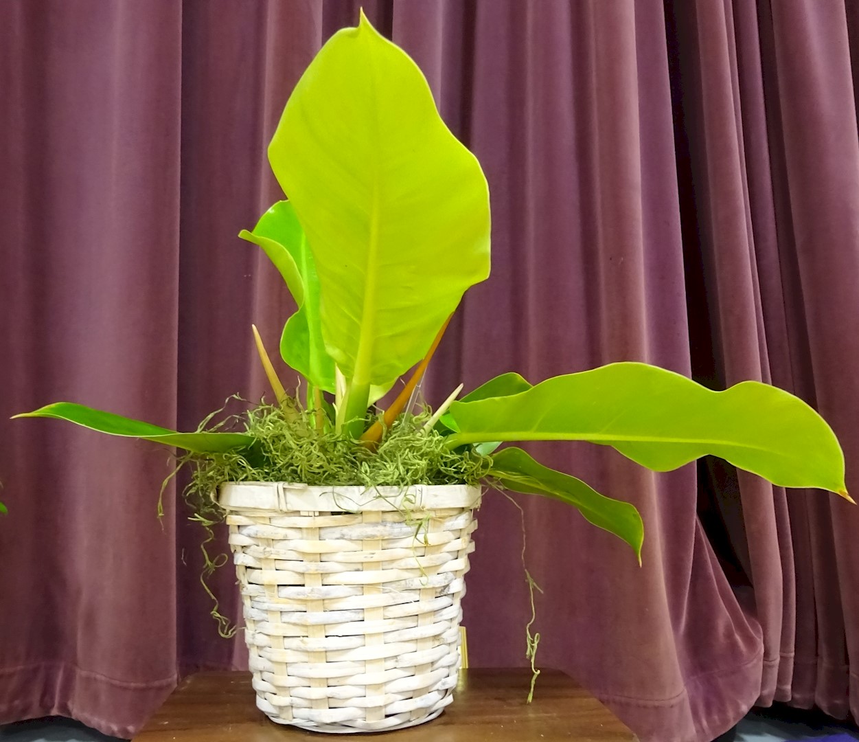 Flowers from Carter, Cally, and Family