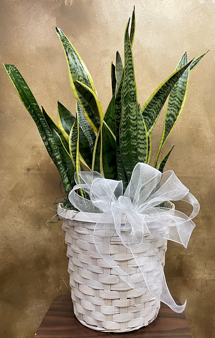 Flowers from Kadoka Area School Students, Staff, and Board of Directors