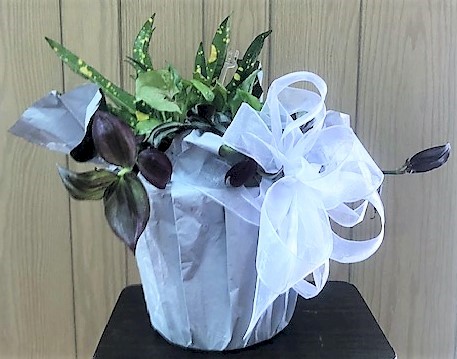 Flowers from Dakota Country Pharmacy