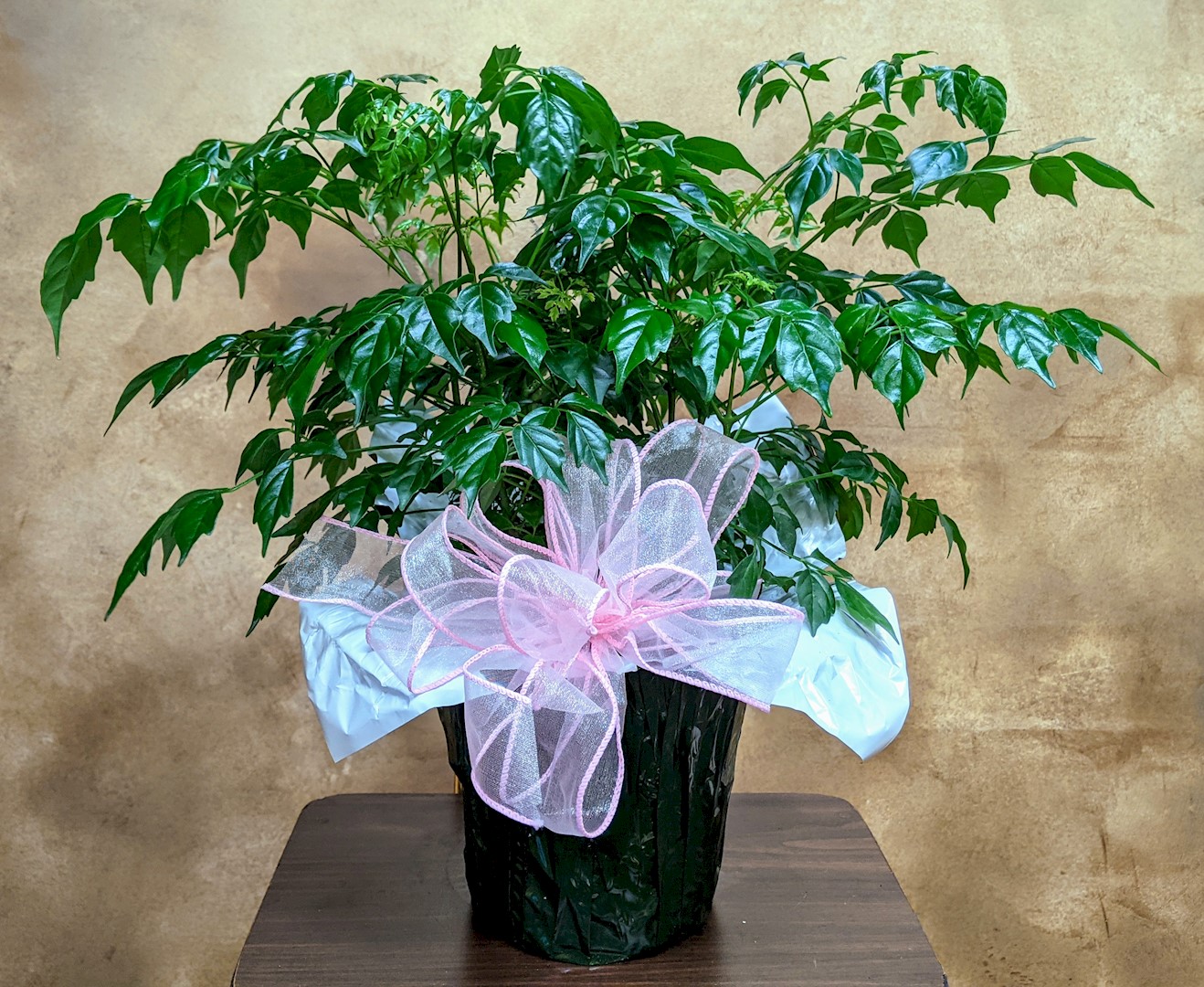 Flowers from Dakota Country Pharmacy