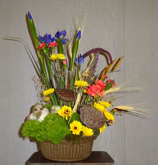 Flowers from Randall County Feed Lot