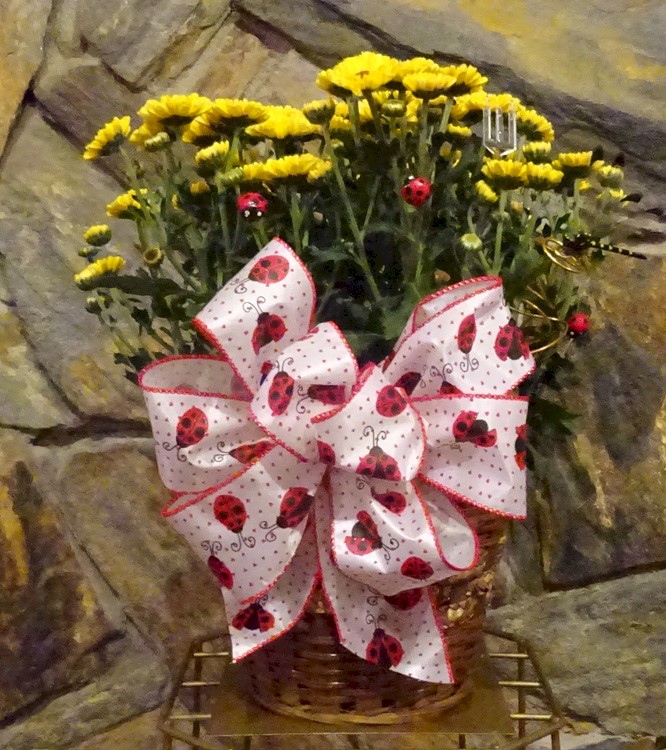 Flowers from Missouri Valley Mutual Insurance Company
Burke, South Dakota