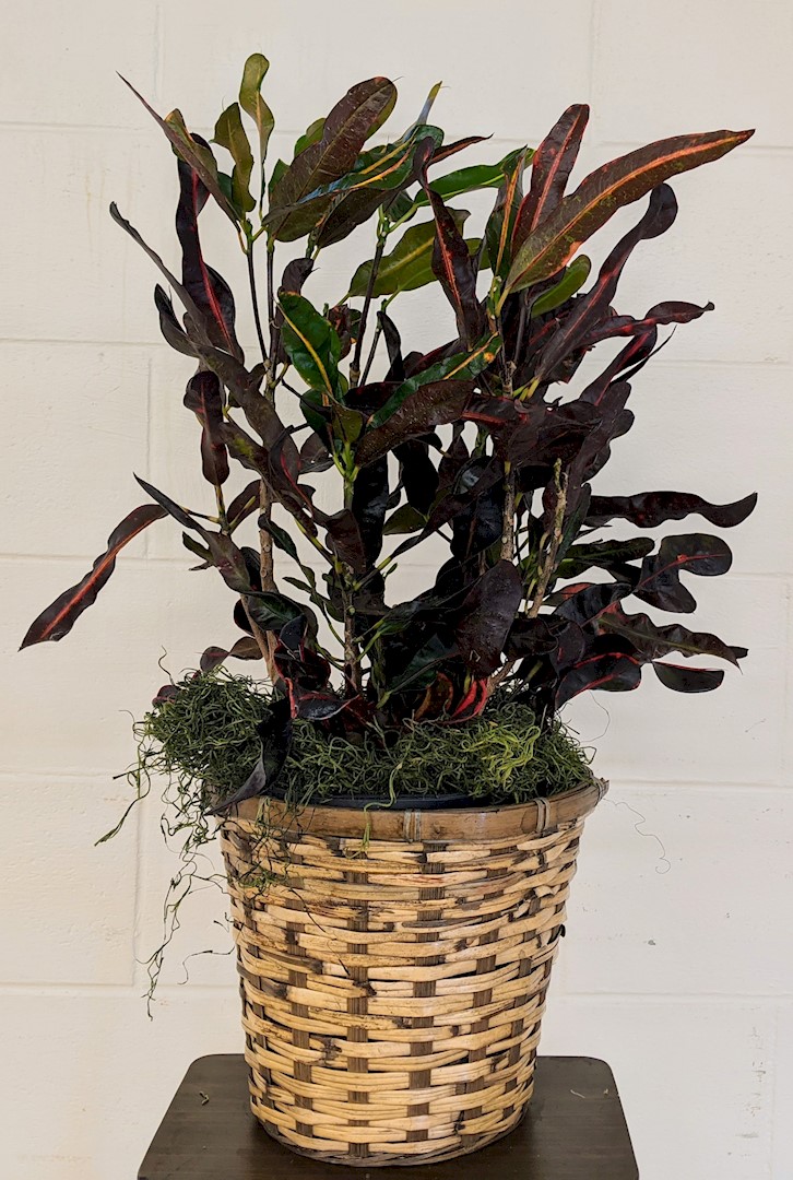 Flowers from Kadoka Nursing Home Residents, Staff, and Board of Directors