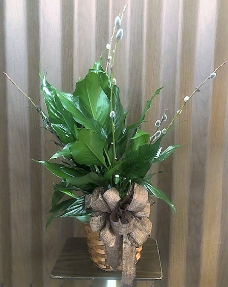 Flowers from Roger and Penny