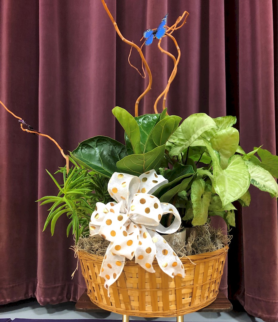 Flowers from Don, Valerie, McKenna, Mazi, and Landon