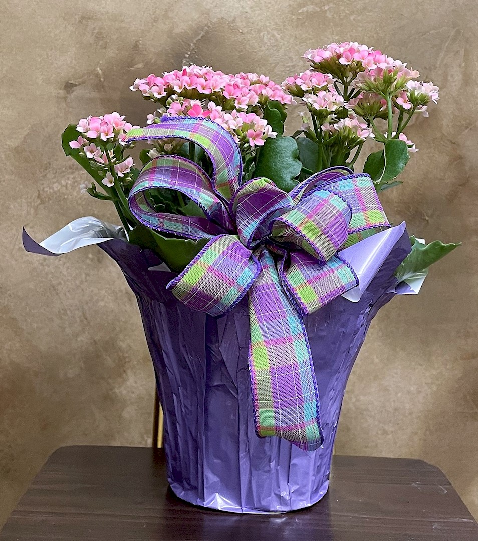 Flowers from Dakota Country Pharmacy