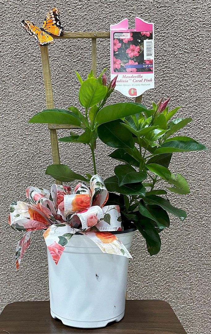 Flowers from Your Family at Golden West