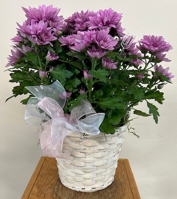 Flowers from Kadoka Nursing Home Residents, Staff, and Board of Directors