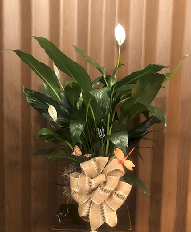 Flowers from Dakota Mill