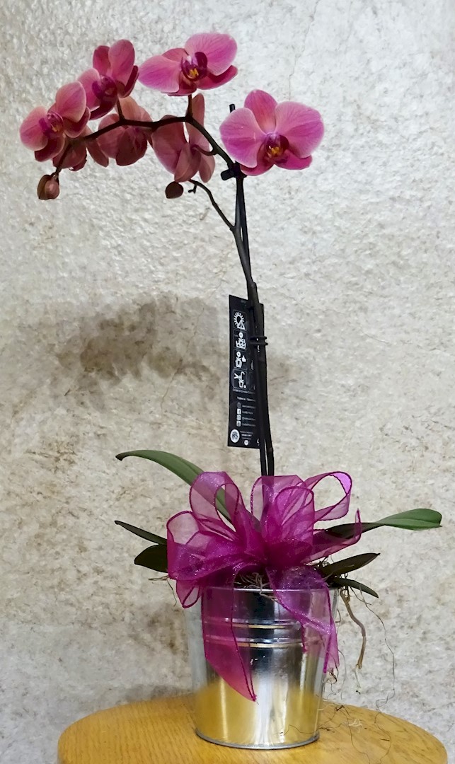 Flowers from Kent and Stephanie Kjerstad