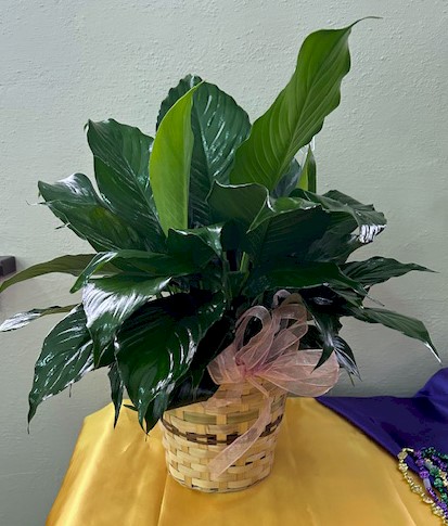 Flowers from Kadoka Nursing Home Staff, Residents and 
Board of Directors
