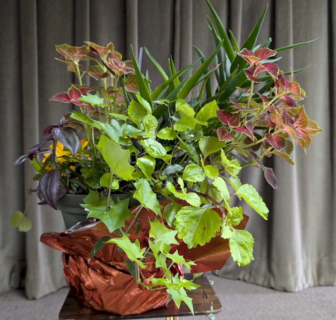 Flowers from The Moses Family