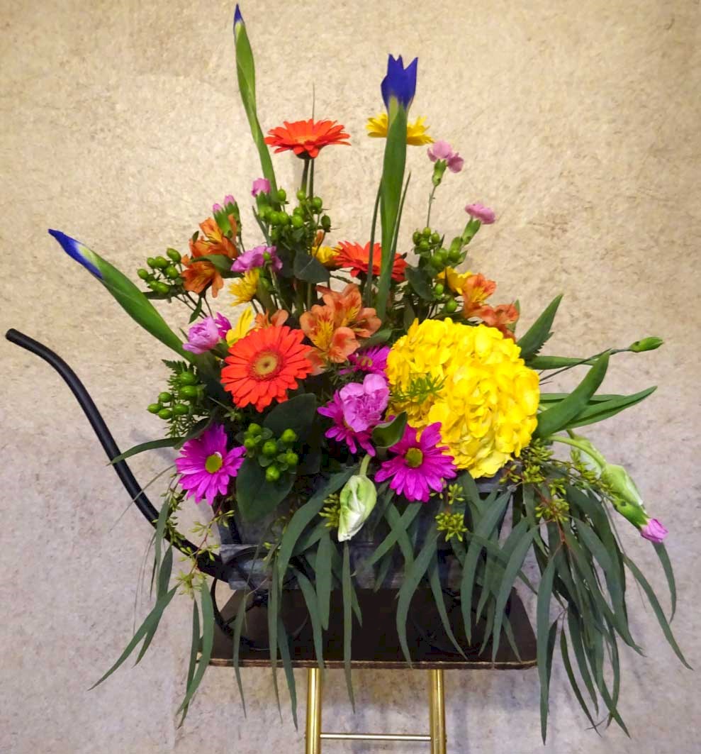 Flowers from The Bergs